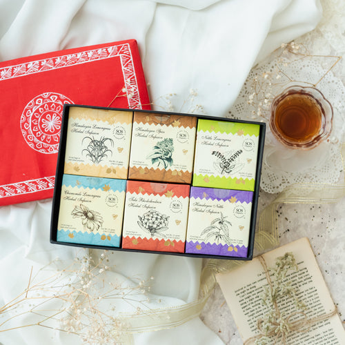 Herbal Tea Infusions in Aepan Box