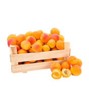 Load image into Gallery viewer, Apricot Fruit Box -3kgs (NCR Delivery Only)
