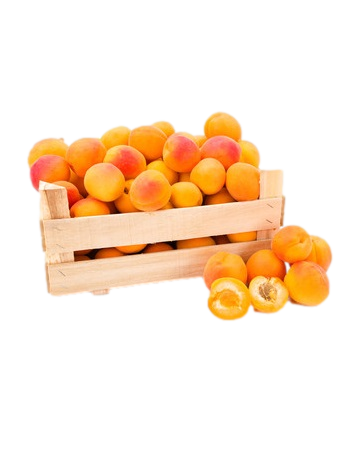 Apricot Fruit Box -3kgs (NCR Delivery Only)