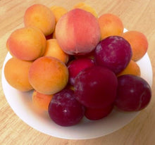 Load image into Gallery viewer, Mixed Fruit Box(Apricot, Peach &amp; Plum)-3kgs (NCR Delivery Only)
